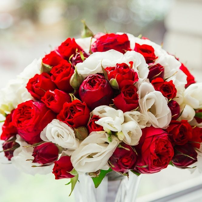 Stunning bouquet made of dark red and white roses stands in glass vase